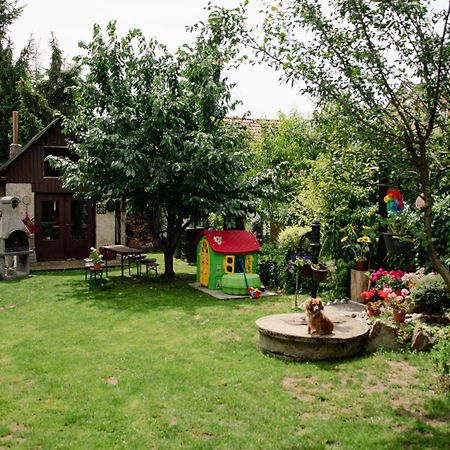 Podkrovni Apartman S Vyhledem Na Namesti Lomnice nad Lužnicí Kültér fotó